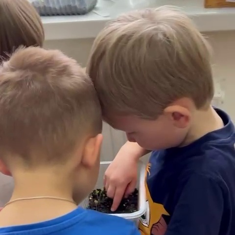 Первые открытия