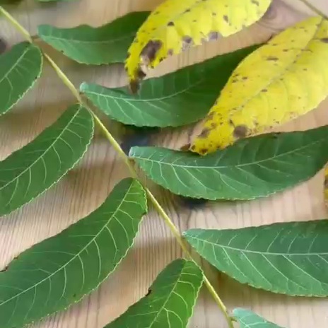 День из жизни клуба